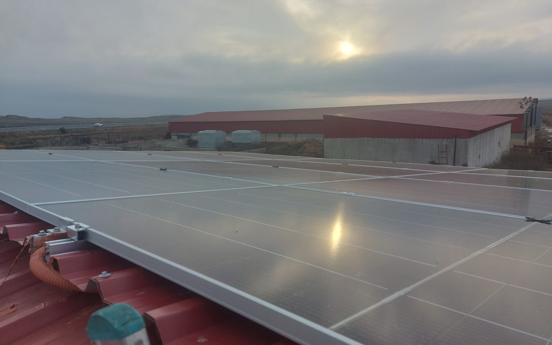 Instalación SFV aislada en una granja de terneros